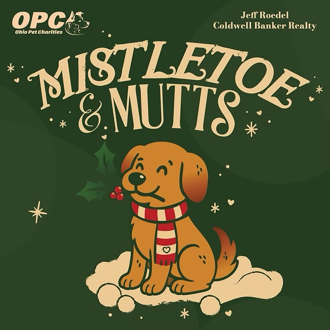 8ad1d4_33984a83e5ed42eb8ab31c725366f486~mv2